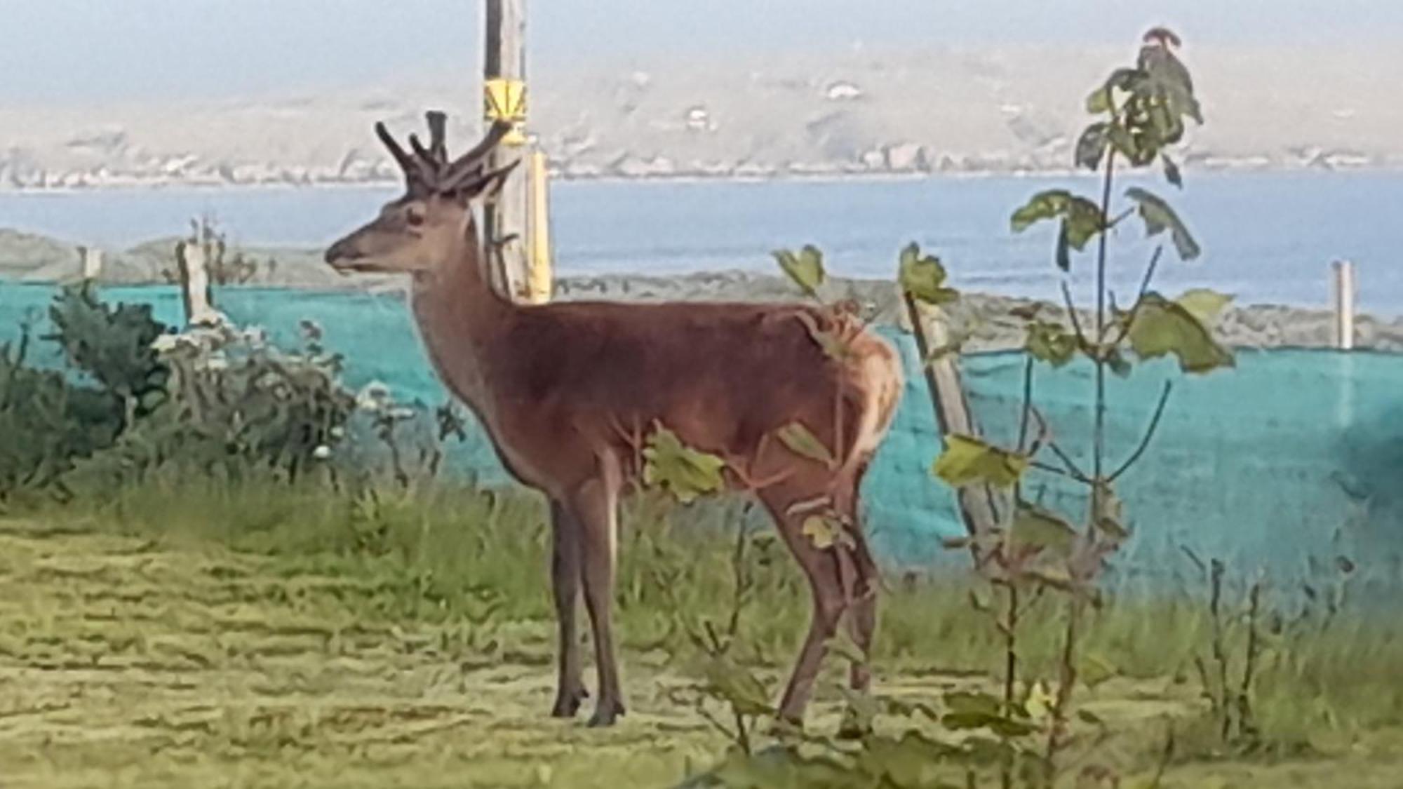 Otters Retreat Bed and Breakfast Big Sand Εξωτερικό φωτογραφία